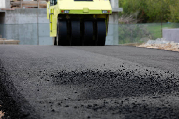 Best Local Driveway Pavers  in Colfax, CA