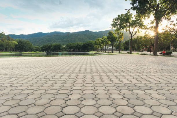 Best Driveway Paving Company  in Colfax, CA